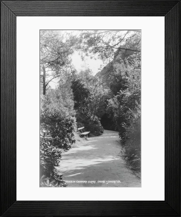 Framed Print : Pathway in Canford Cliffs Chine Framed Print : Pathway in Canford Cliffs Chine