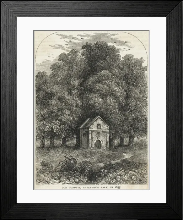 Framed Print : Greenwich Park Framed Print : Greenwich Park