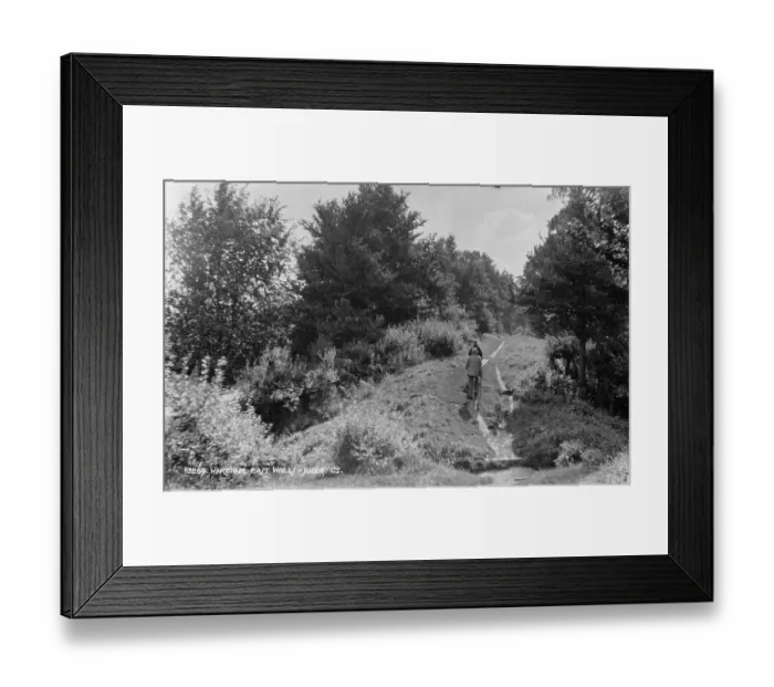 Framed Print : Scenic Pathway in Wareham