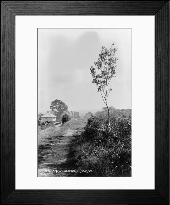 Framed Print : Pathway Through Wareham Framed Print : Pathway Through Wareham
