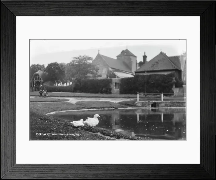 Framed Print : Ducks by the Pond in Rottingdean Framed Print : Ducks by the Pond in Rottingdean