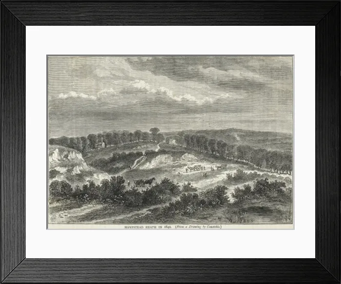 Framed Print : Hampstead Heath Framed Print : Hampstead Heath