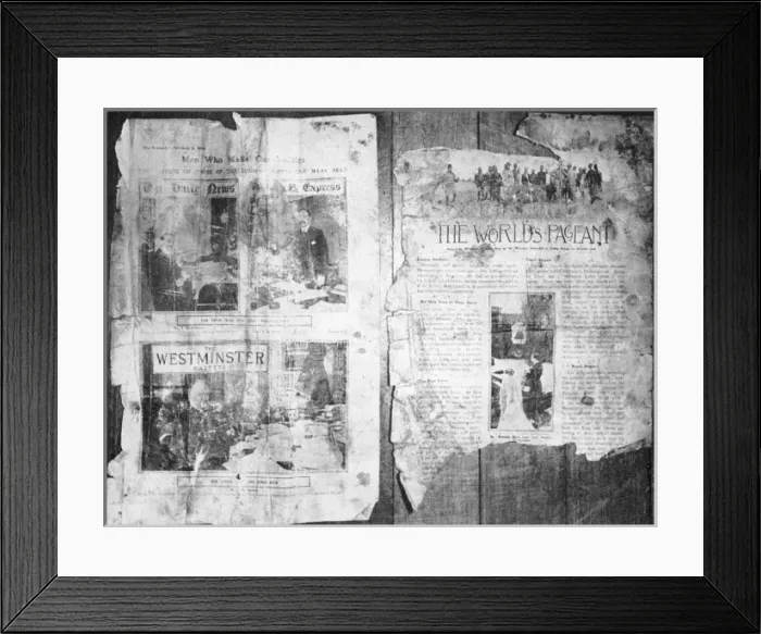 Framed Print : An Antarctic Bystander Framed Print : An Antarctic Bystander