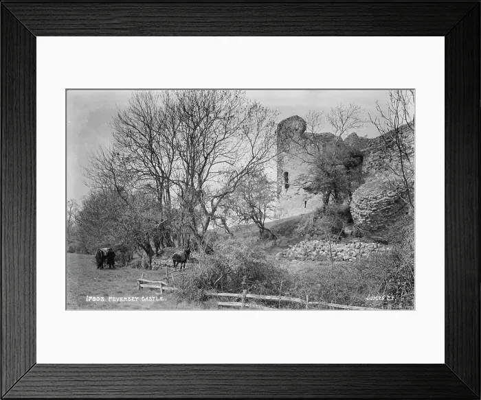 Framed Print : Pevensey Castle Framed Print : Pevensey Castle
