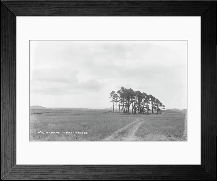 Framed Print : Woodbury Common Framed Print : Woodbury Common