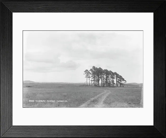 Framed Print : Woodbury Common - Judges Ltd Framed Print : Woodbury Common - Judges Ltd