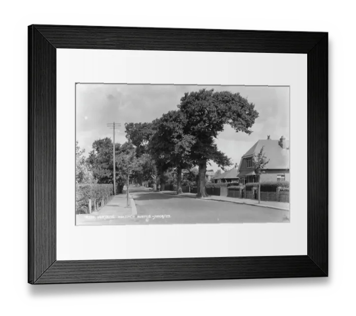 Framed Print : Wallace Avenue, Worthing Framed Print : Wallace Avenue, Worthing