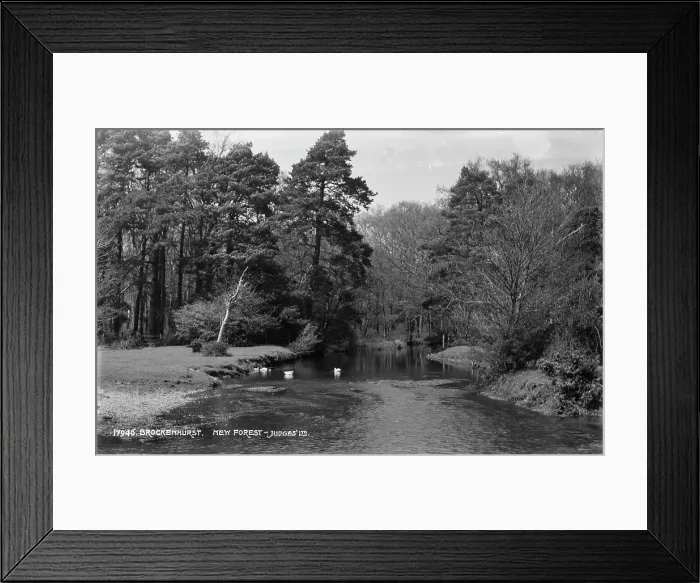 Framed Print : Scenic View of Brockenhurst in New Forest Framed Print : Scenic View of Brockenhurst in New Forest