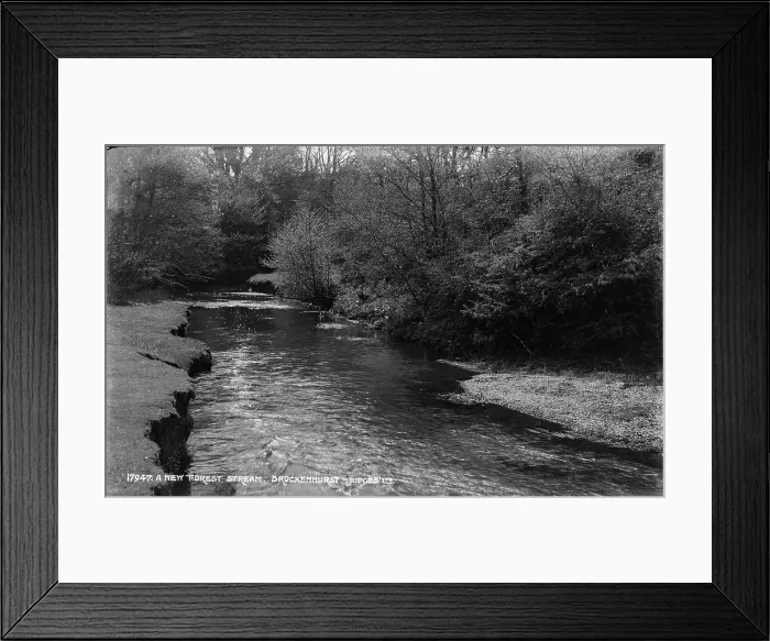 Framed Print : A New Forest Stream Framed Print : A New Forest Stream