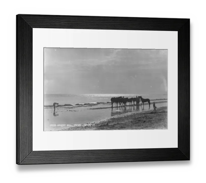 Framed Print : Ponies at Selsey Bill Framed Print : Ponies at Selsey Bill