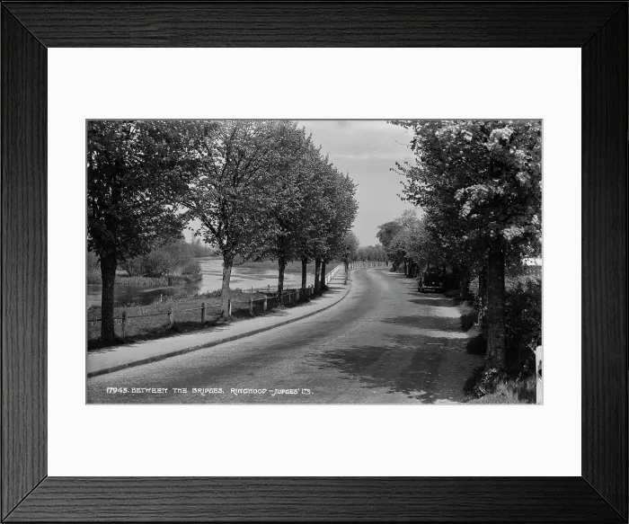 Framed Print : Between the Bridges Framed Print : Between the Bridges