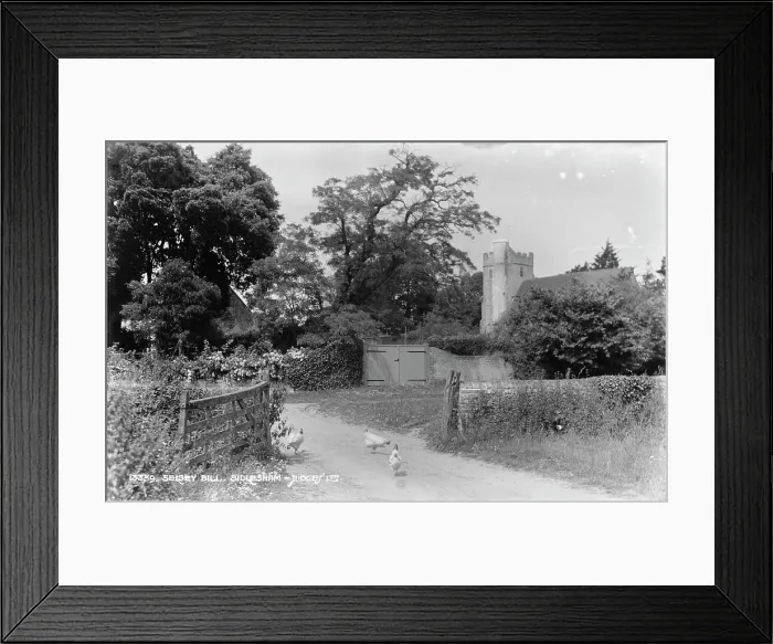 Framed Print : A Quiet Country Lane in Sidlesham Framed Print : A Quiet Country Lane in Sidlesham