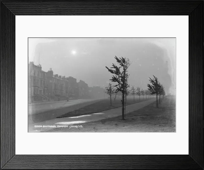 Framed Print : Foggy Morning at Southsea Common Framed Print : Foggy Morning at Southsea Common
