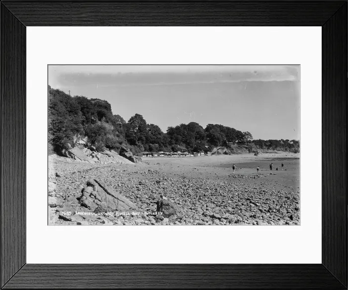 Framed Print : Laverock at St. Mary's Well Bay Framed Print : Laverock at St. Mary's Well Bay