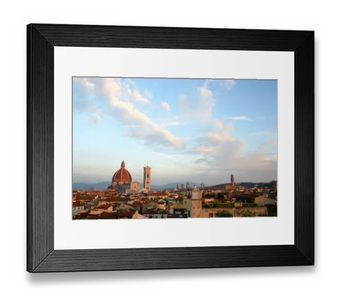 Framed Print : Florence Skyline Framed Print : Florence Skyline
