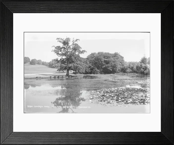 Framed Print : Cowdray Park, Benbow Pond Framed Print : Cowdray Park, Benbow Pond