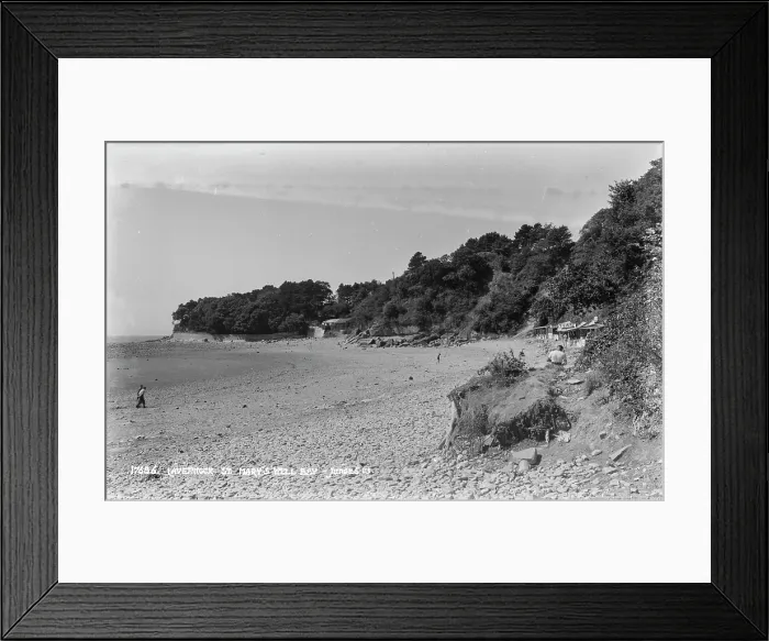 Framed Print : Laverock at St. Mary's Well Bay Framed Print : Laverock at St. Mary's Well Bay