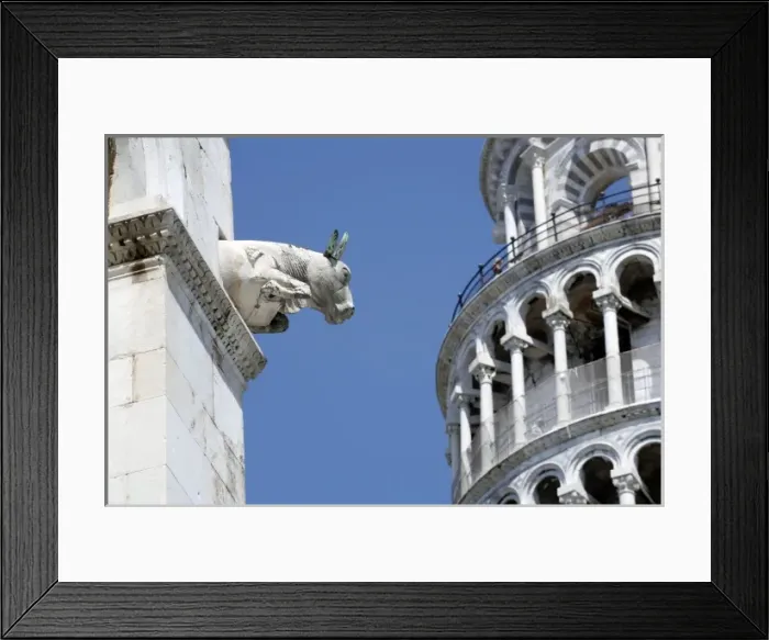 Framed Print : Leaning Tower of Pisa Framed Print : Leaning Tower of Pisa