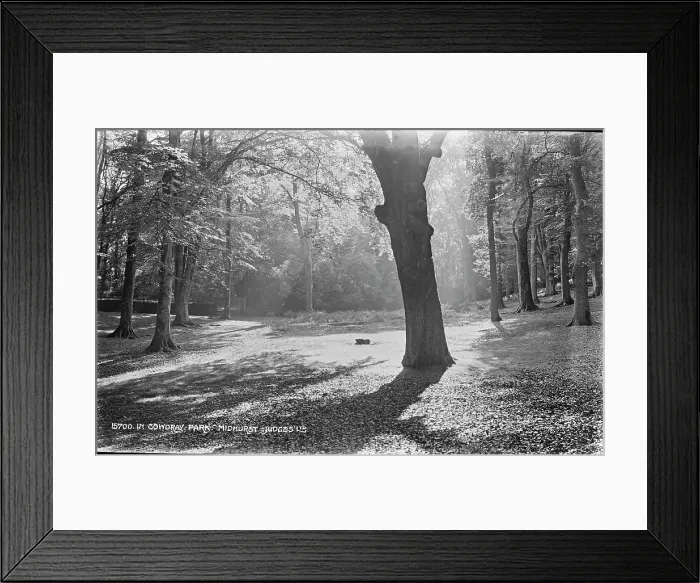 Framed Print : Tranquil Scene in Cowdray Park Framed Print : Tranquil Scene in Cowdray Park