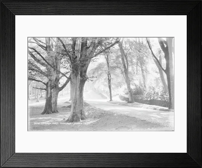Framed Print : Cowdray Park in Midhurst Framed Print : Cowdray Park in Midhurst