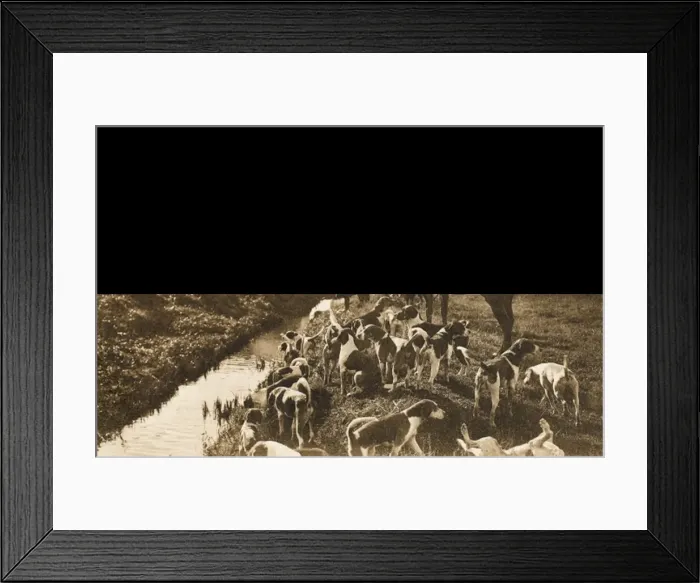 Framed Print : Fox hunting with hounds - Italy Framed Print : Fox hunting with hounds - Italy