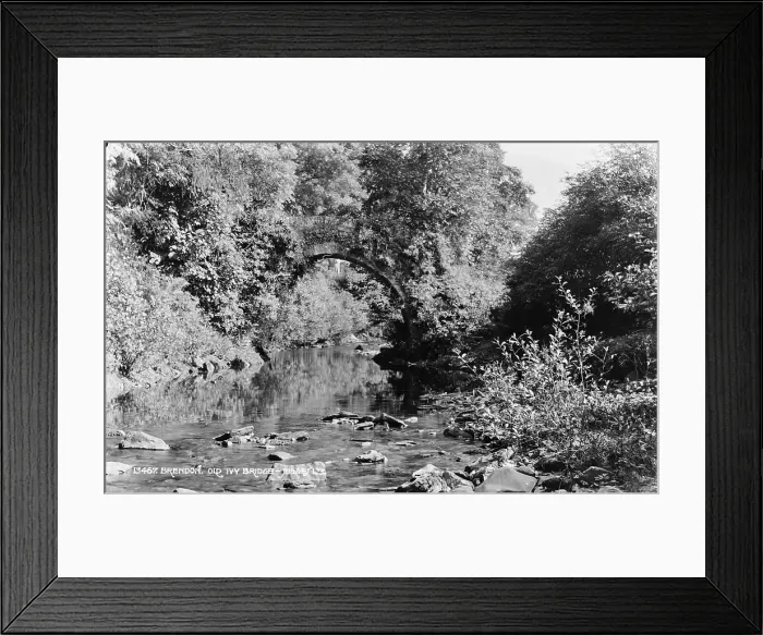Framed Print : Old Ivy Bridge Framed Print : Old Ivy Bridge