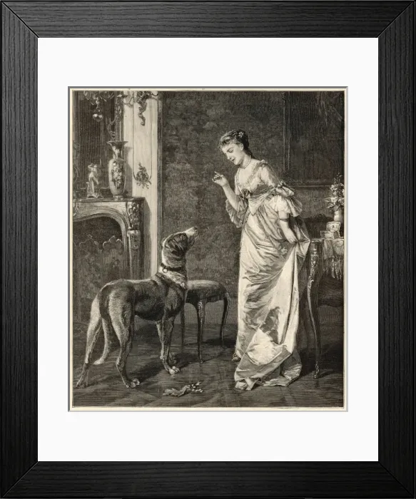 Framed Print : Dog Training Framed Print : Dog Training