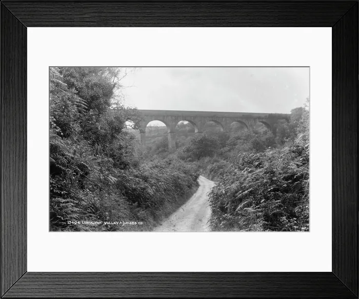 Framed Print : Luxulyan Valley Viaduct