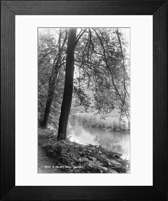 Framed Print : Tranquil Scene at Miller's Dale Framed Print : Tranquil Scene at Miller's Dale