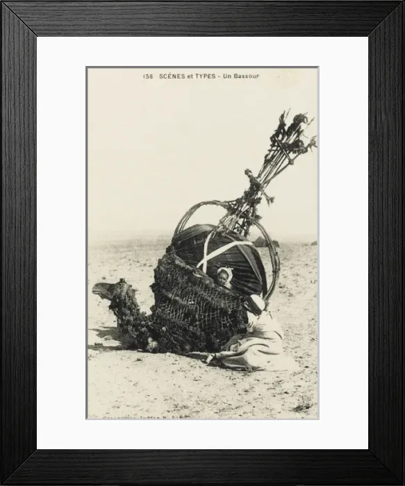 Framed Print : Camel Palanquin (covered litter) Framed Print : Camel Palanquin (covered litter)