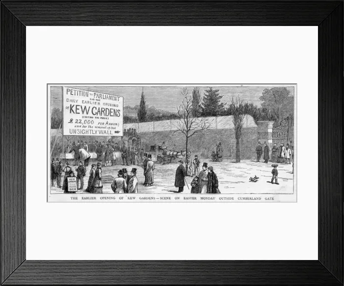 Framed Print : Kew Petition Framed Print : Kew Petition