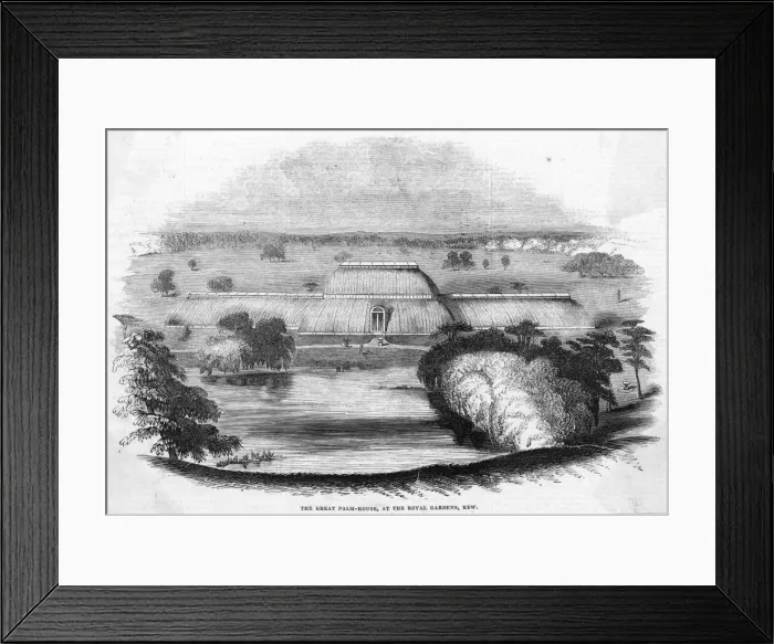 Framed Print : Kew Gardens Palm House Framed Print : Kew Gardens Palm House
