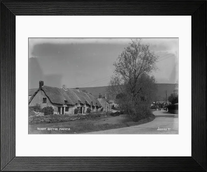 Framed Print : Charming Thatched Cottages in Sutton Poyntz Framed Print : Charming Thatched Cottages in Sutton Poyntz