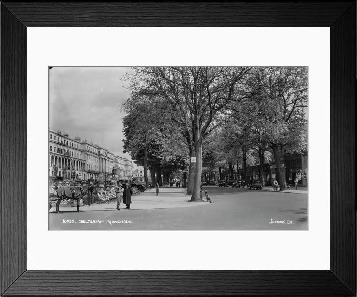 Framed Print : Cheltenham Promenade Framed Print : Cheltenham Promenade