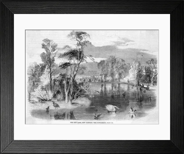 Framed Print : Kew Gardens Framed Print : Kew Gardens