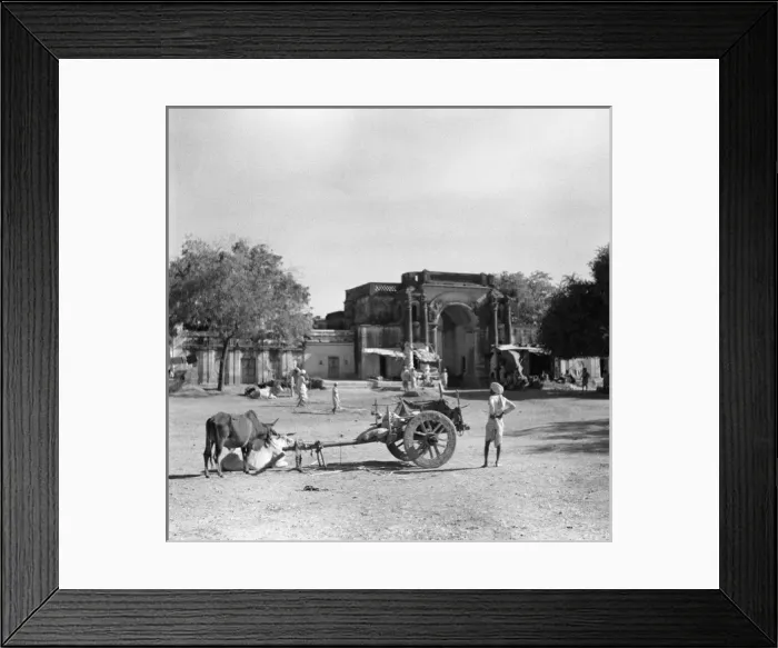 Framed Print : Village walls - Madhya Pradesh - India Framed Print : Village walls - Madhya Pradesh - India