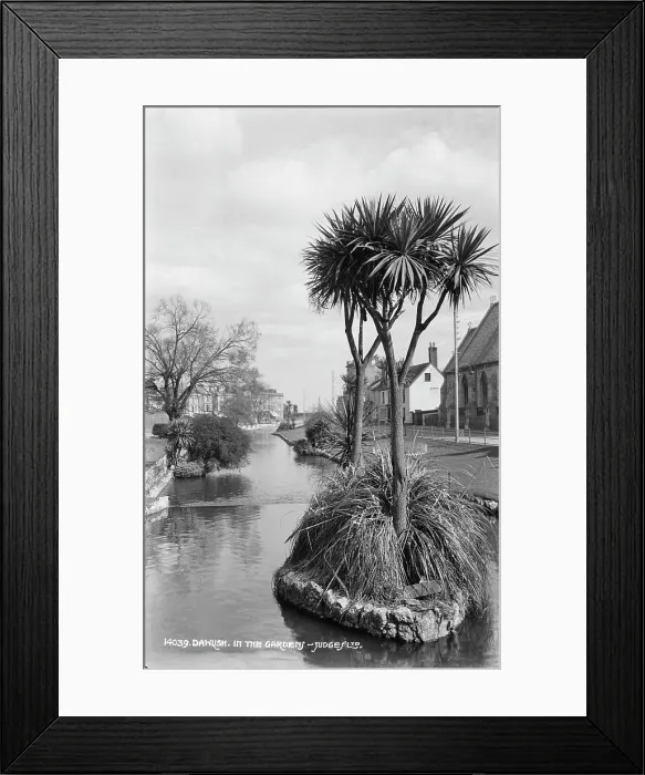 Framed Print : In the Garden Framed Print : In the Garden