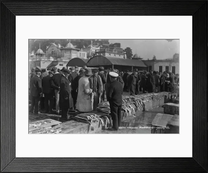 Framed Print : Busy Day at Torquay Fish Market Framed Print : Busy Day at Torquay Fish Market