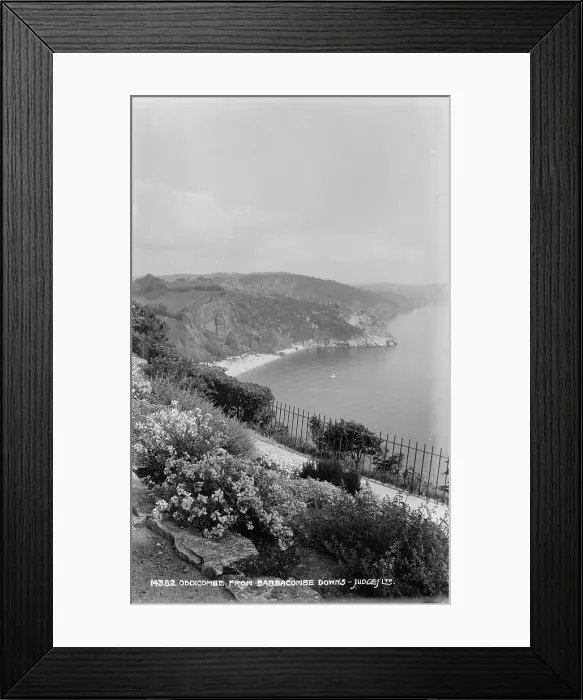 Framed Print : View of Oddicombe from Babbacombe Downs Framed Print : View of Oddicombe from Babbacombe Downs