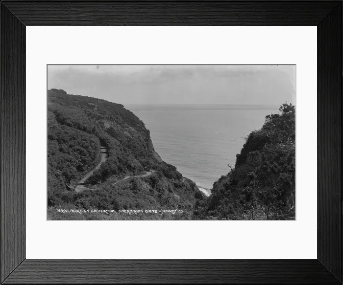 Framed Print : Scenic View of Sherbrook Chine Framed Print : Scenic View of Sherbrook Chine