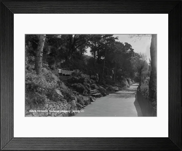 Framed Print : Madeira Gardens in Exmouth Framed Print : Madeira Gardens in Exmouth