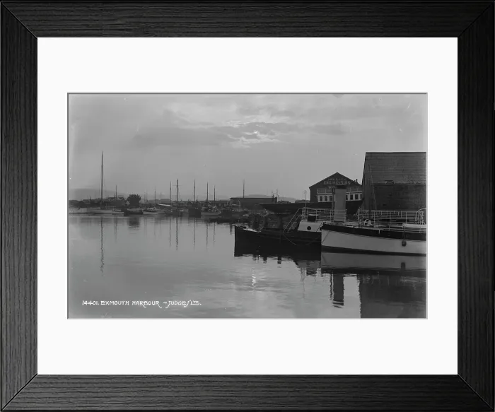 Framed Print : Exmouth Harbour Framed Print : Exmouth Harbour