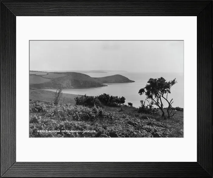 Framed Print : Scenic View of Blackhead near Mevagissey Framed Print : Scenic View of Blackhead near Mevagissey