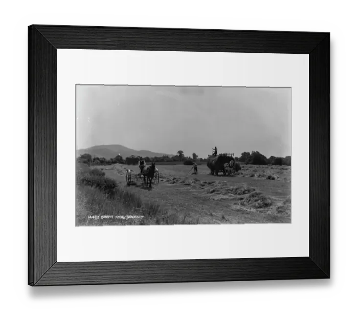 Framed Print : Harvesting in the Countryside Framed Print : Harvesting in the Countryside