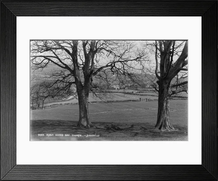 Framed Print : Scenic View of Robin Hood's Bay Framed Print : Scenic View of Robin Hood's Bay