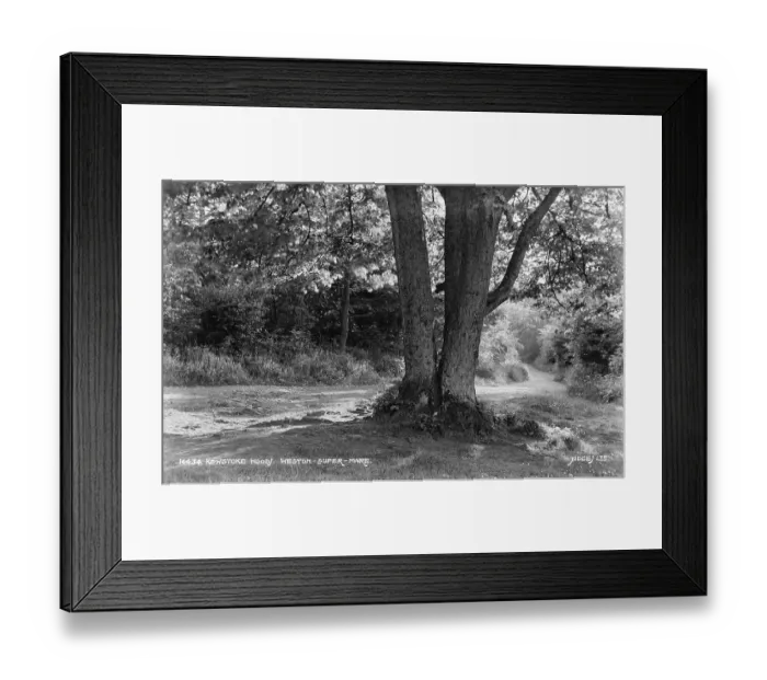 Framed Print : Kewstoke Wood Framed Print : Kewstoke Wood