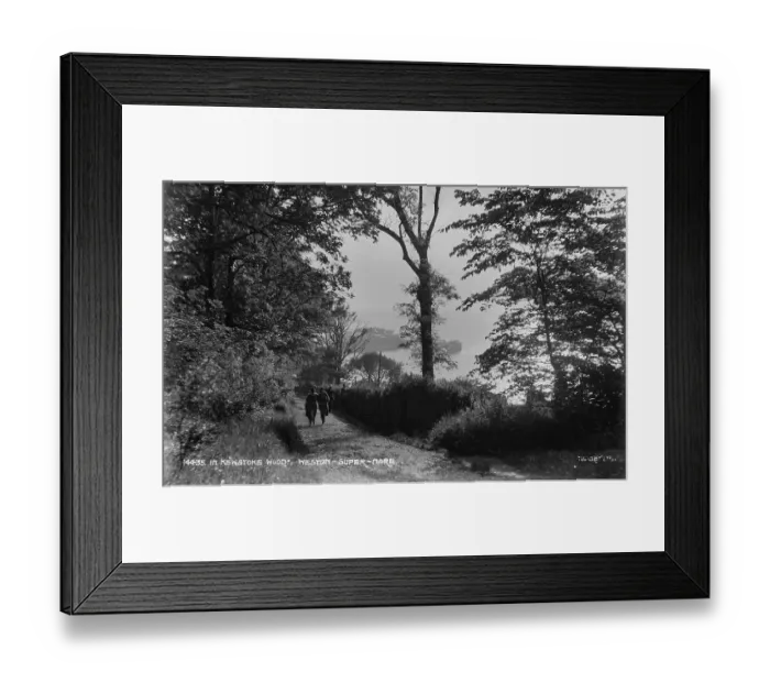 Framed Print : In Kewstoke Wood Framed Print : In Kewstoke Wood