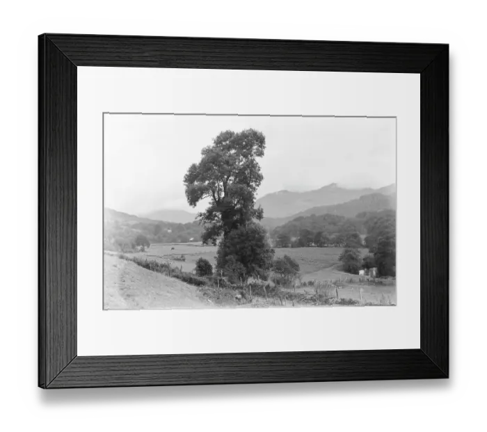 Framed Print : Serene Countryside Landscape Framed Print : Serene Countryside Landscape