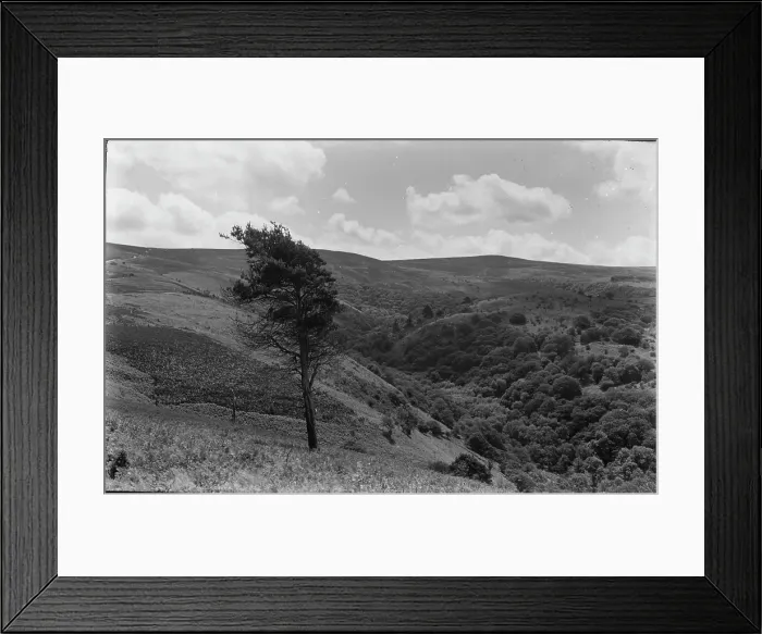 Framed Print : Serene Hillside View Framed Print : Serene Hillside View