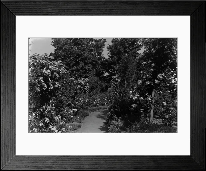Framed Print : Serene Garden Path Framed Print : Serene Garden Path